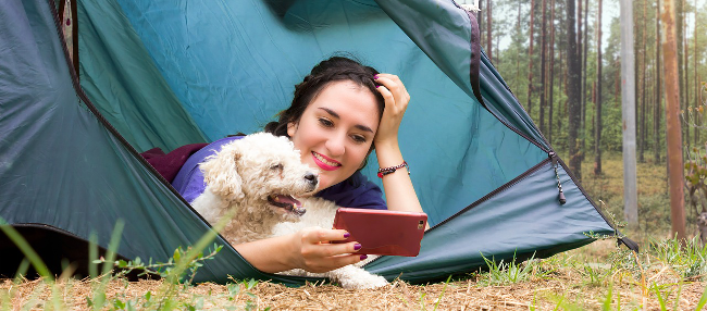 Woman in a tent with a smartphone and a dog